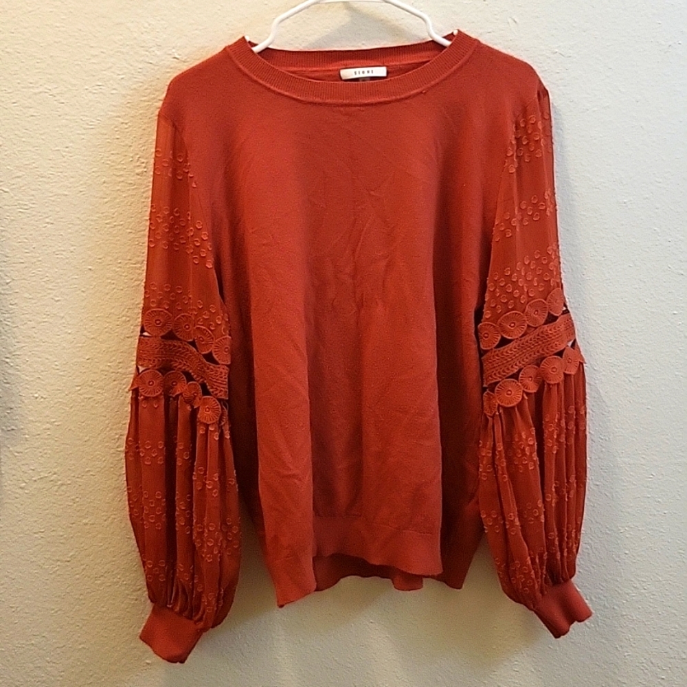 Rust Sweater with detailed sleeves
